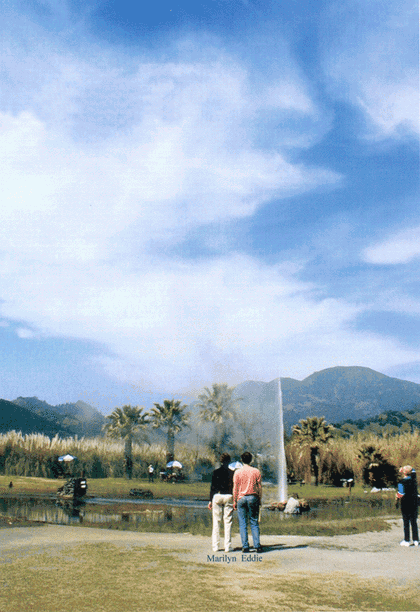 Father's Day Geyser!!